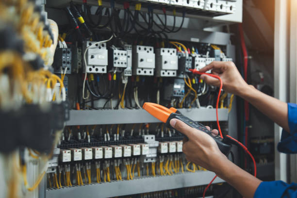 Best Electric Panel Repair  in Cold Spring, MN